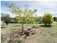 1324 Bull Creek Road,, Ashbourne SA 5157