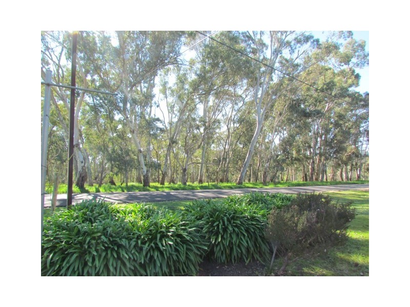 19 Kingrose Street, Macclesfield SA 5153