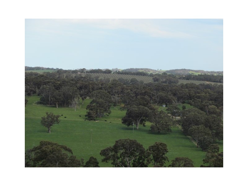 Section 3494 Handke Road, Macclesfield SA 5153