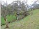 54 Quarry Road, Macclesfield SA 5153
