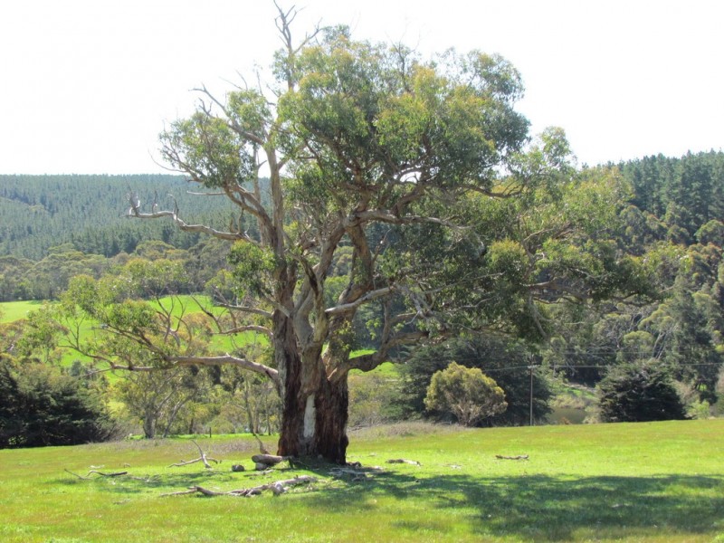 lot 43 Oakley Road, Kyeema SA 5172