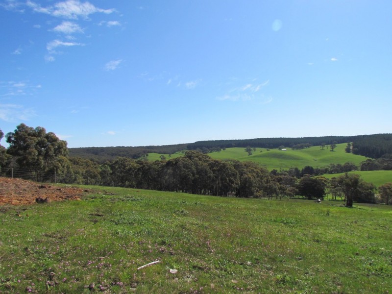 lot 43 Oakley Road, Kyeema SA 5172