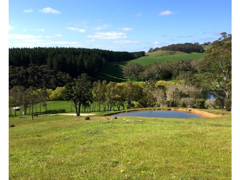 lot 43 Oakley Road, Kyeema SA 5172