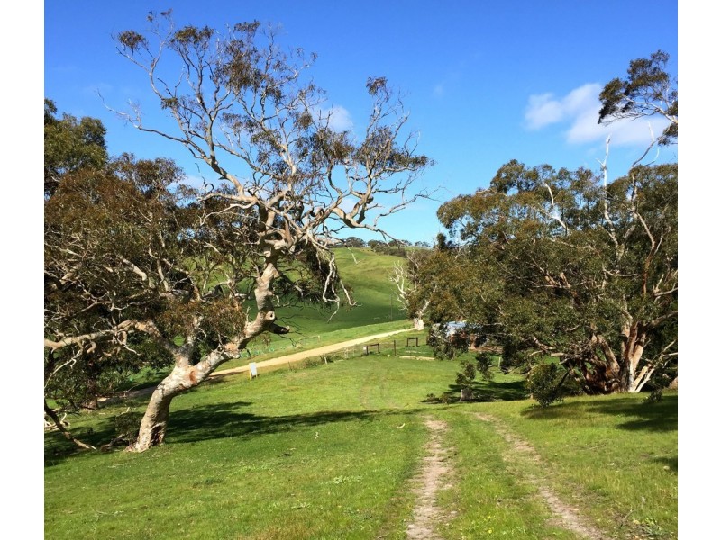 lot 43 Oakley Road, Kyeema SA 5172