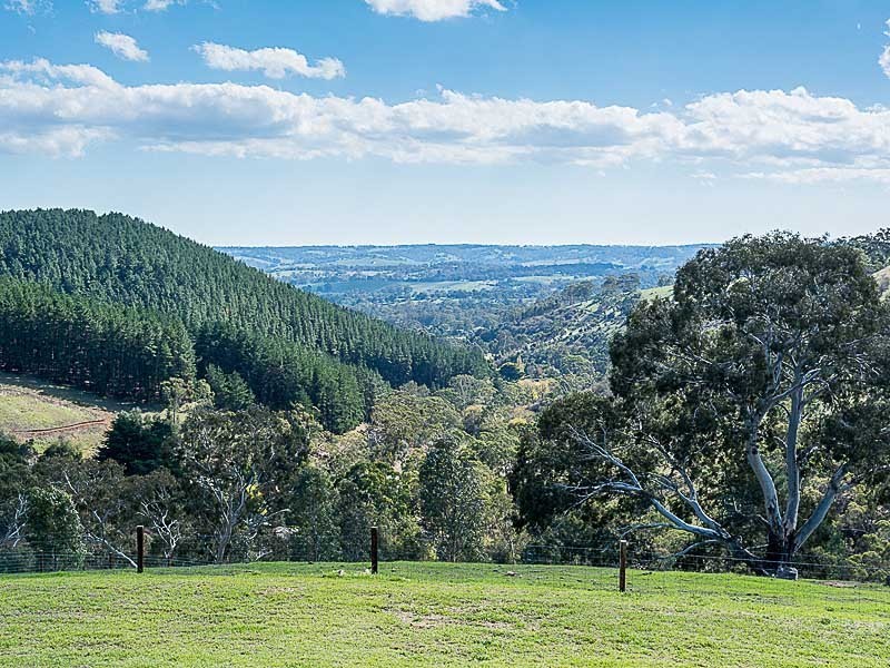 222 Dashwood Gully Road, Kangarilla SA 5157