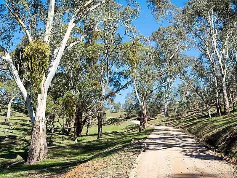 222 Dashwood Gully Road, Kangarilla SA 5157