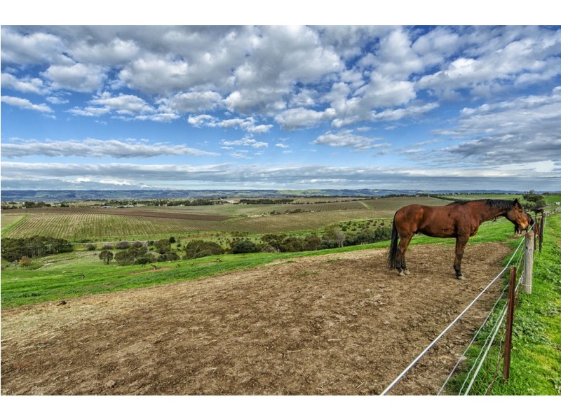 91 Hagley Road, Mclaren Vale SA 5171