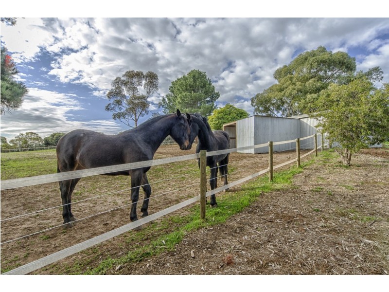 91 Hagley Road, Mclaren Vale SA 5171