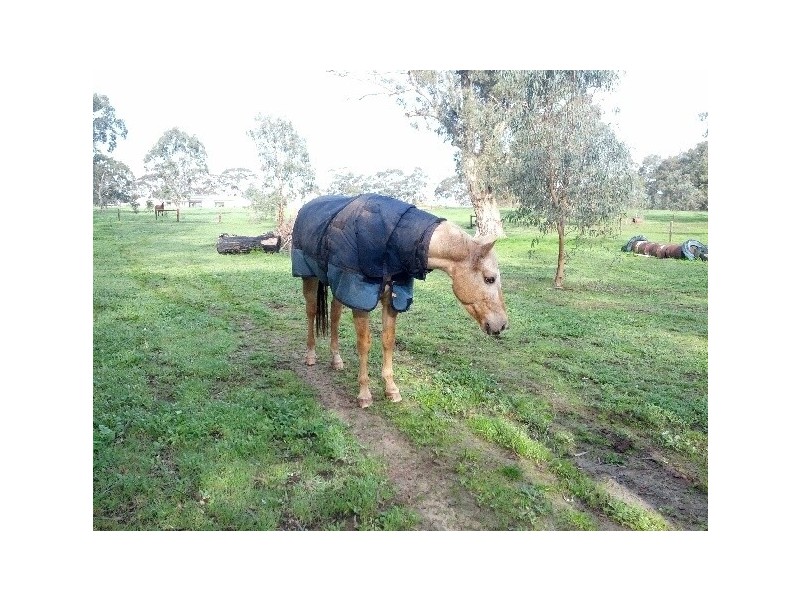 6 Braendler Road, Echunga SA 5153