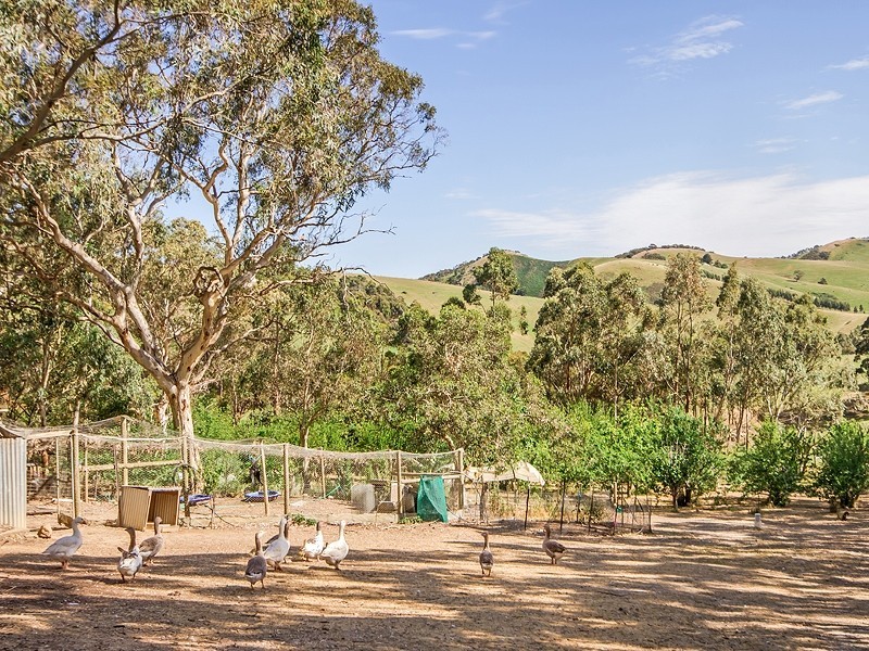 161 Stonesford Road, Mount Compass SA 5210