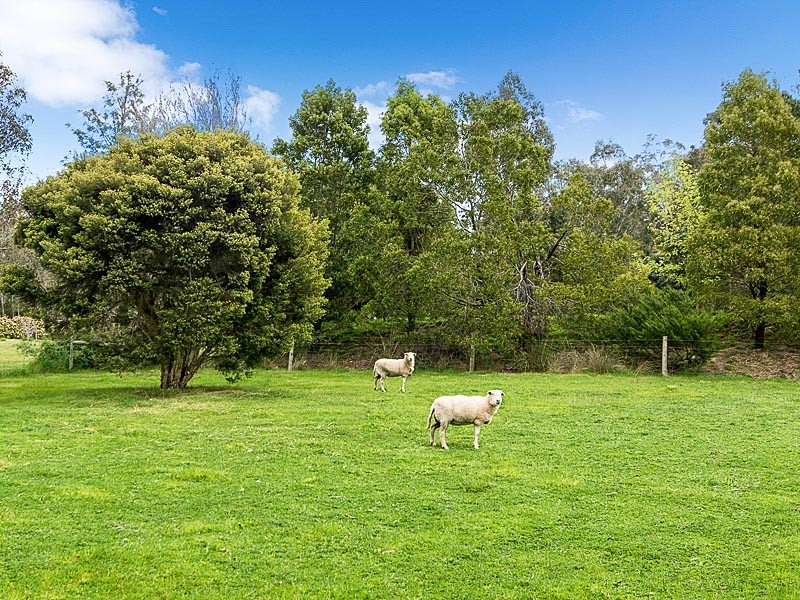 14 Pound Road, Macclesfield SA 5153