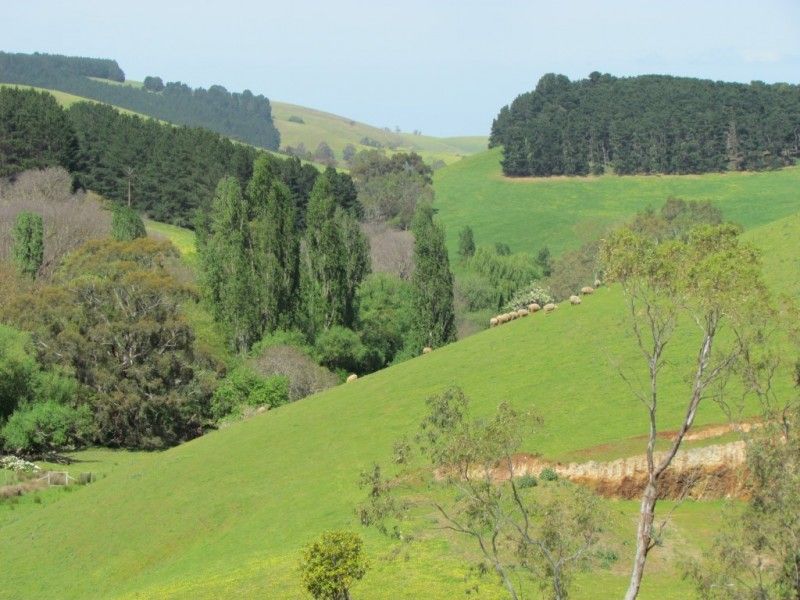 587 Nicol Road, Meadows SA 5201