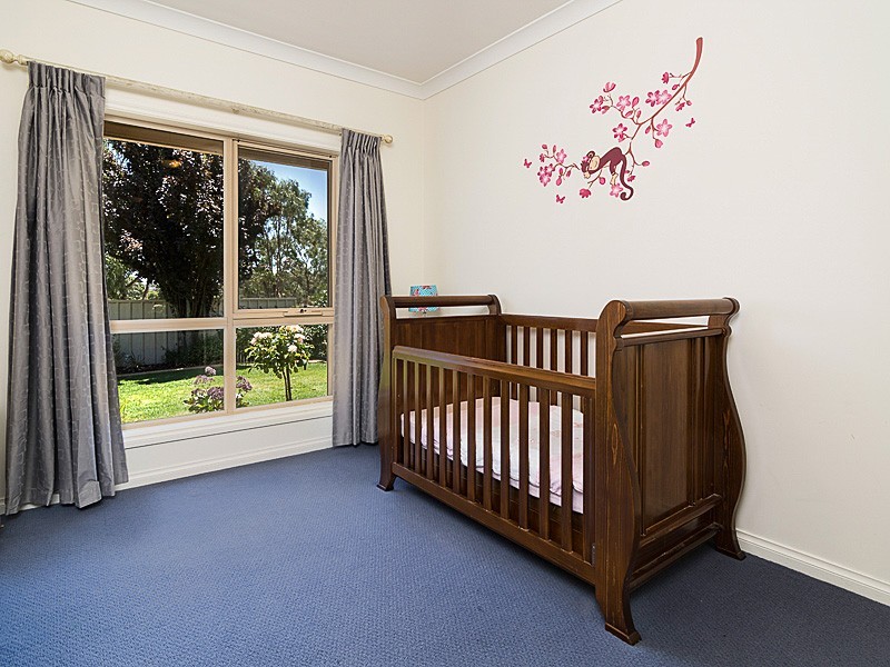 29 Michelmore Drive, Meadows SA 5201