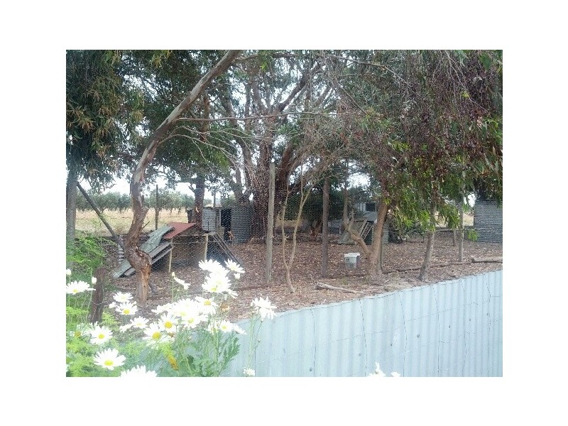 311 Finniss Park Road, Currency Creek SA 5214