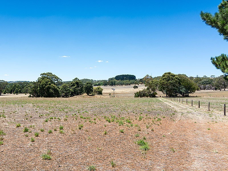 165 Morris Road, Meadows SA 5201