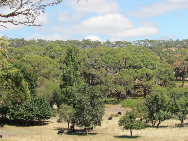 2 Knotts Hill Road, Kangarilla SA 5157