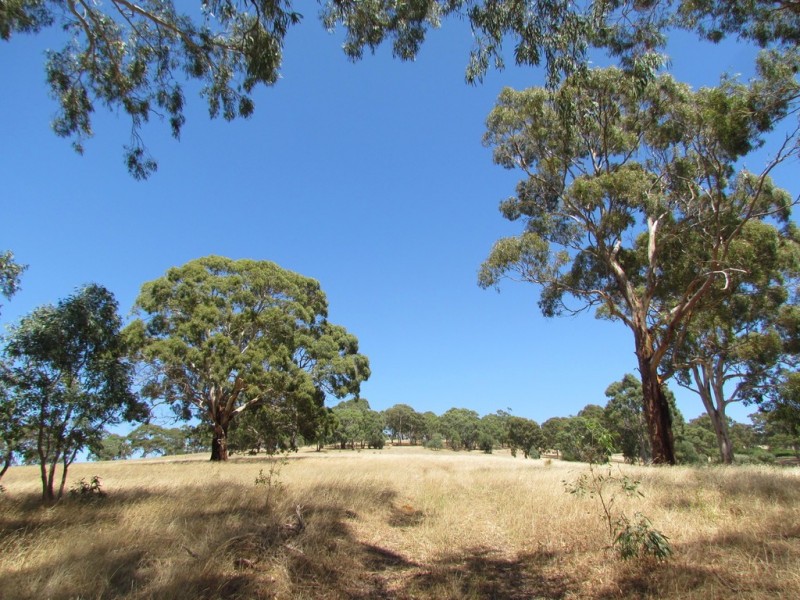 2 Knotts Hill Road, Kangarilla SA 5157
