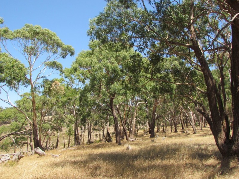 2 Knotts Hill Road, Kangarilla SA 5157