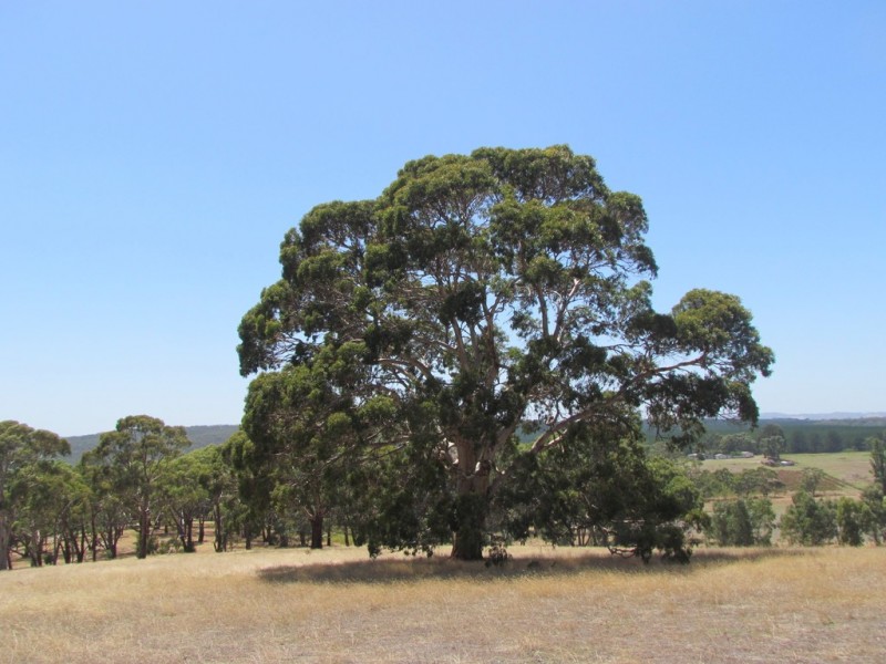 2 Knotts Hill Road, Kangarilla SA 5157