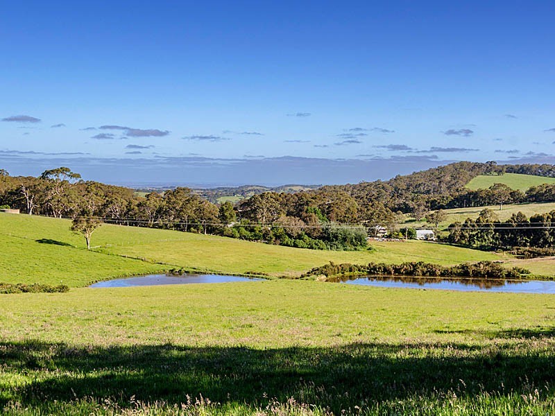 57 Creek Crescent, Meadows SA 5201