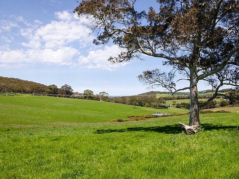 57 Creek Crescent, Meadows SA 5201