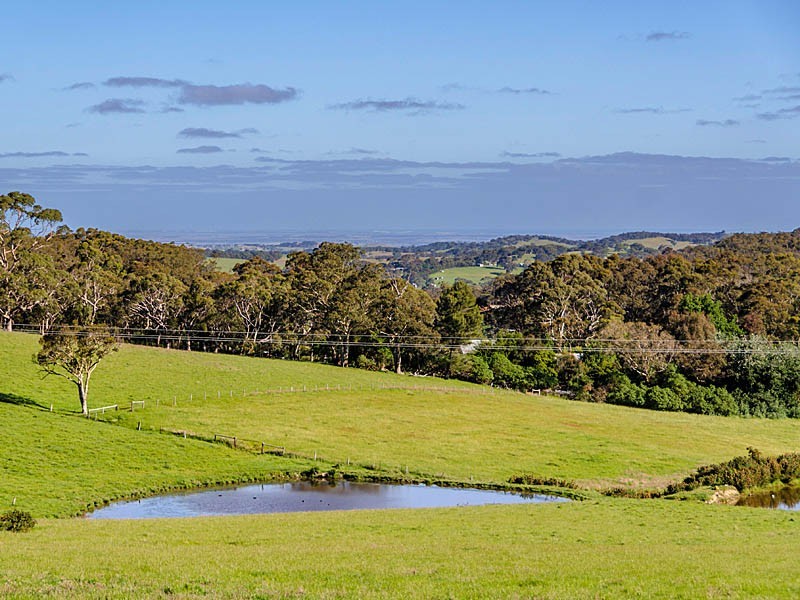 57 Creek Crescent, Meadows SA 5201