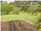 12 Pound Road, Macclesfield SA 5153