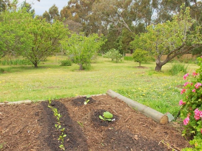 12 Pound Road, Macclesfield SA 5153