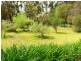 12 Pound Road, Macclesfield SA 5153