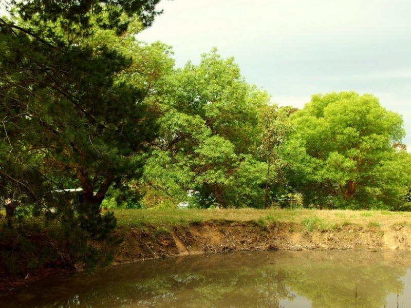 12 Pound Road, Macclesfield SA 5153