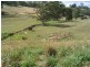 144 Paloona Road, Paloona TAS 7310
