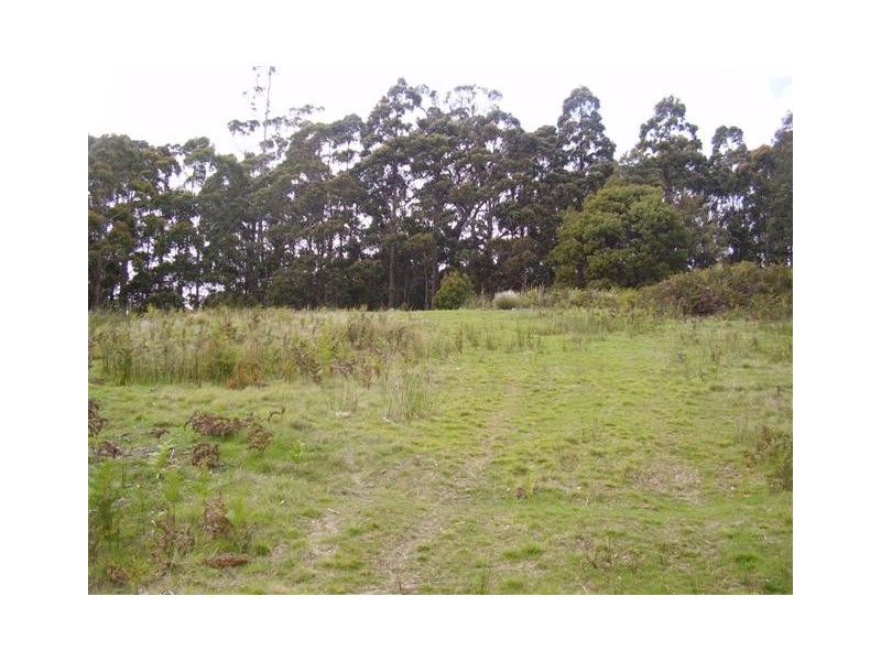 230 Grandview Drive, South Spreyton TAS 7310