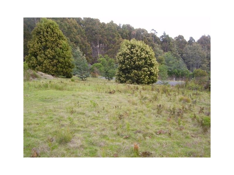 230 Grandview Drive, South Spreyton TAS 7310