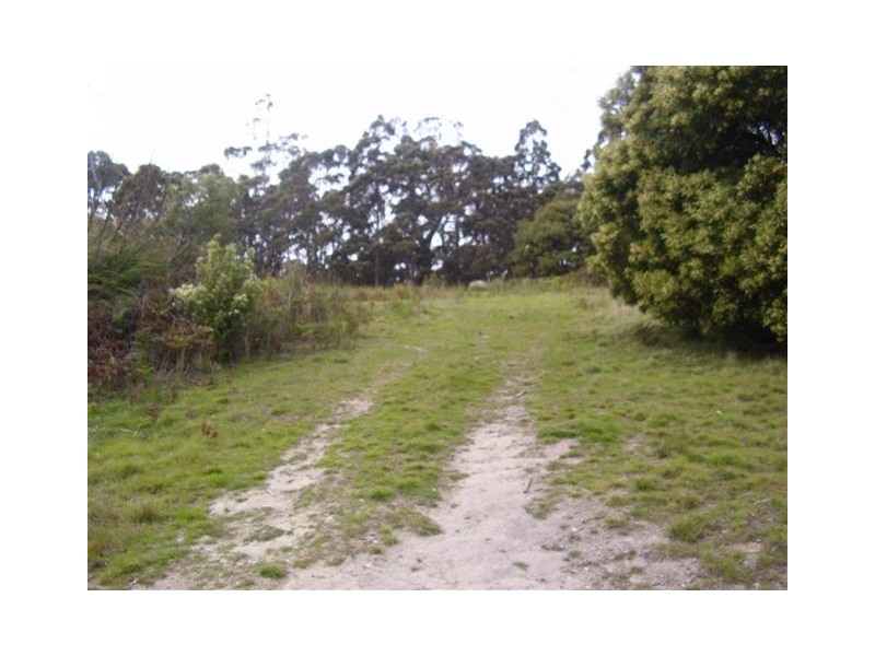 230 Grandview Drive, South Spreyton TAS 7310