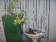 99 Lovett Street, Devonport TAS 7310