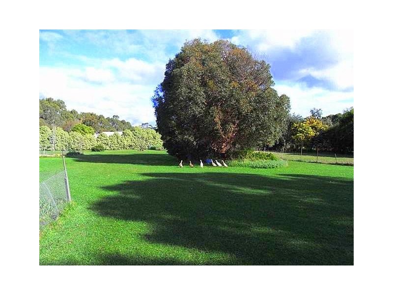34 Allport Street, Leith TAS 7315