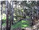 34 Littles Road, Forth TAS 7310
