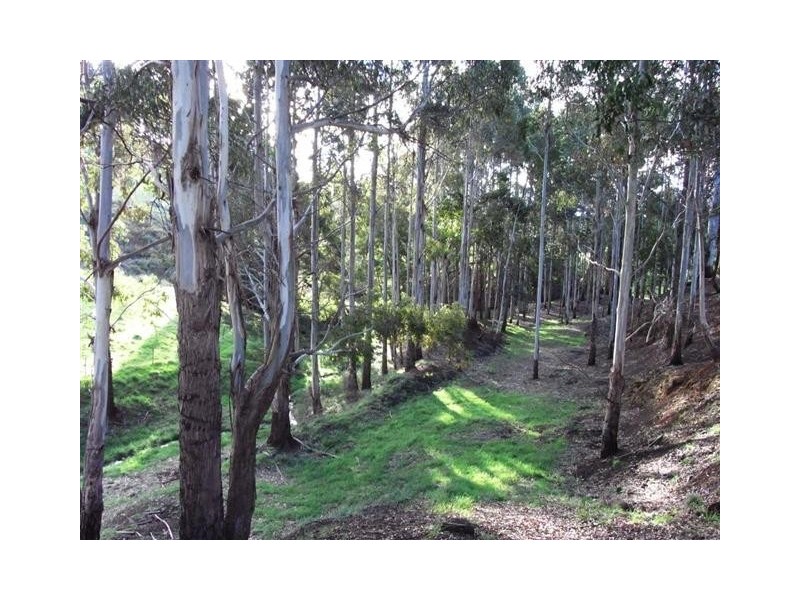 34 Littles Road, Forth TAS 7310