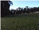 34 Littles Road, Forth TAS 7310