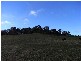 34 Littles Road, Forth TAS 7310