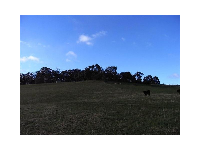 34 Littles Road, Forth TAS 7310