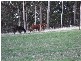34 Littles Road, Forth TAS 7310