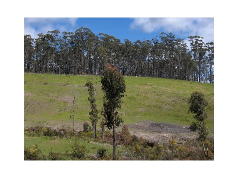 Lot 5/119 Tugrah Road, Tugrah TAS 7310