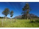 Lot 9 Claude Road, Sheffield TAS 7306