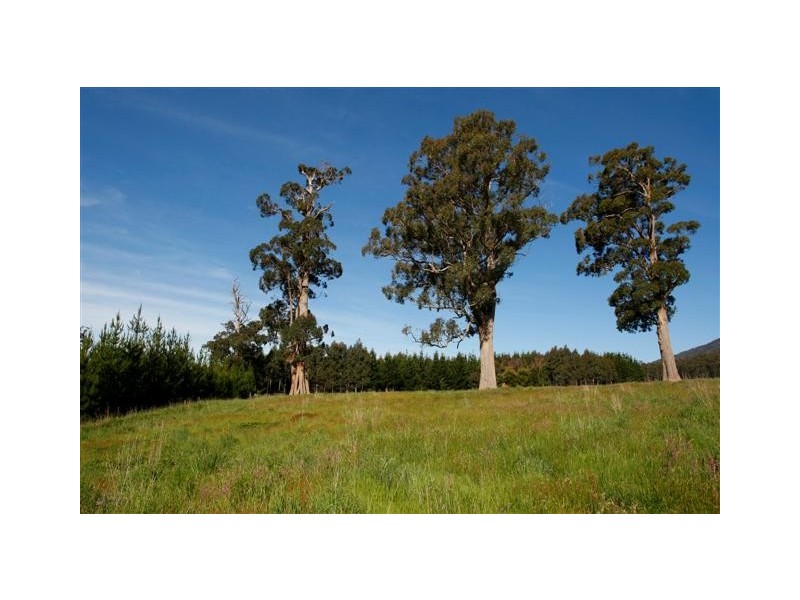 Lot 9 Claude Road, Sheffield TAS 7306