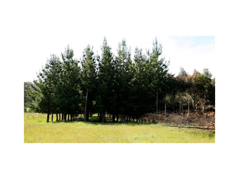 Lot 9 Claude Road, Sheffield TAS 7306