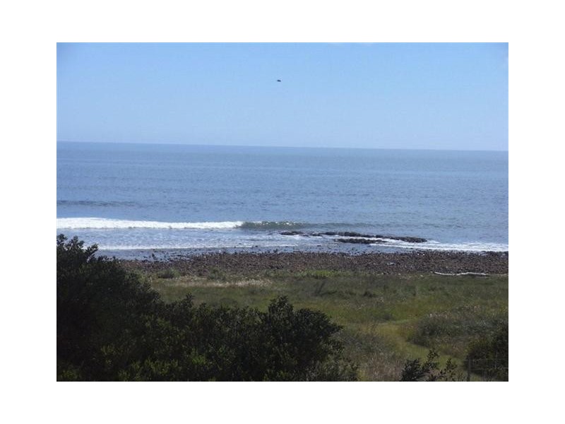 99 Beach Road, Leith TAS 7315