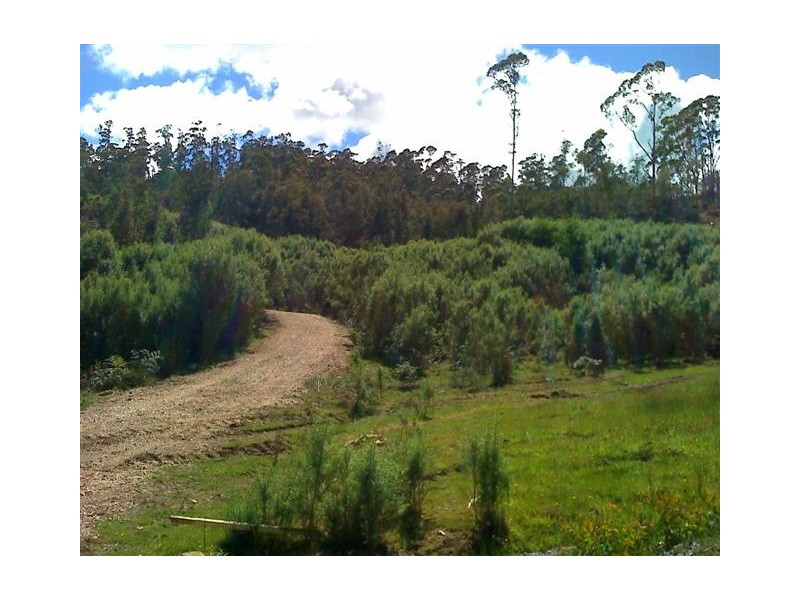 131 James Road, Acacia Hills TAS 7306