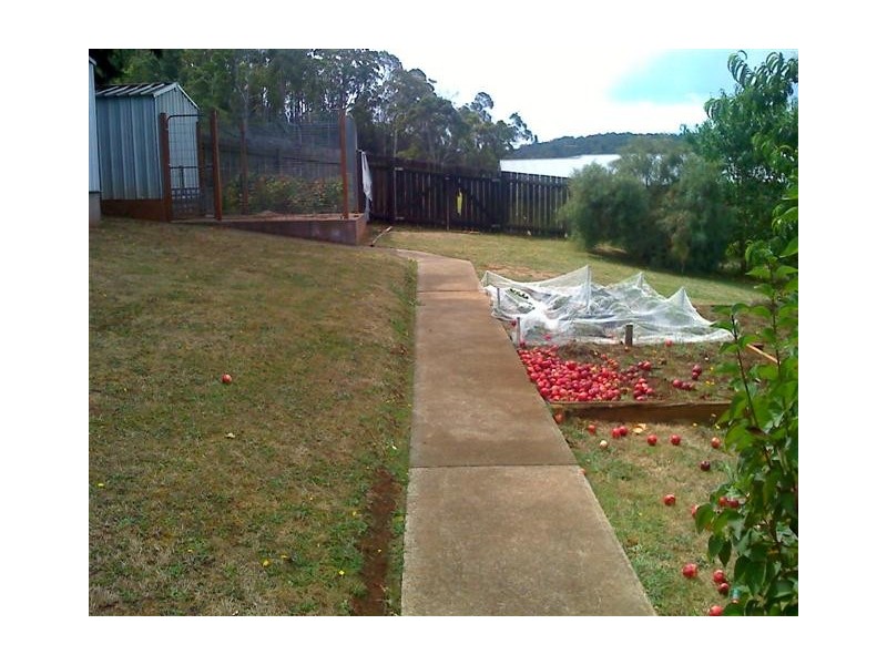 33 Forth Street, Latrobe TAS 7307