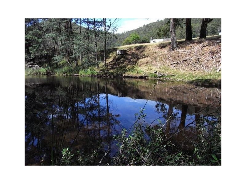 50 Jamiesons Road, Kindred TAS 7310